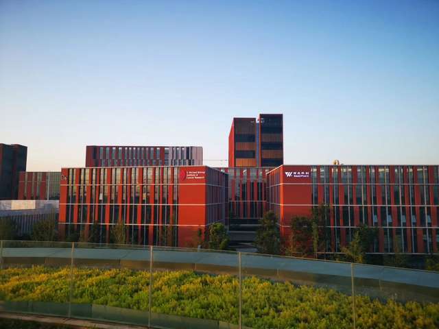 新乡哪里有羊交易市场