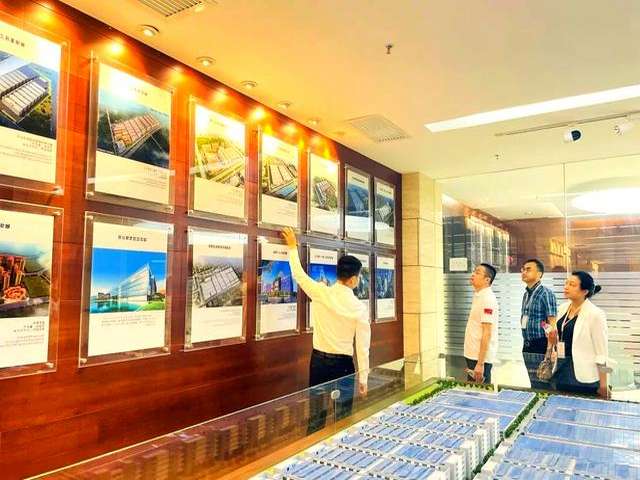 嘉兴舞茸灰树花商家推荐